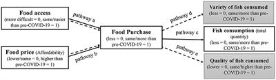 How did the COVID-19 pandemic affect food environment, food purchase, and fish consumption among low-income urban households in Bangladesh—A path analysis